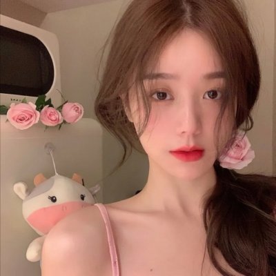 大搜查之女粤语
